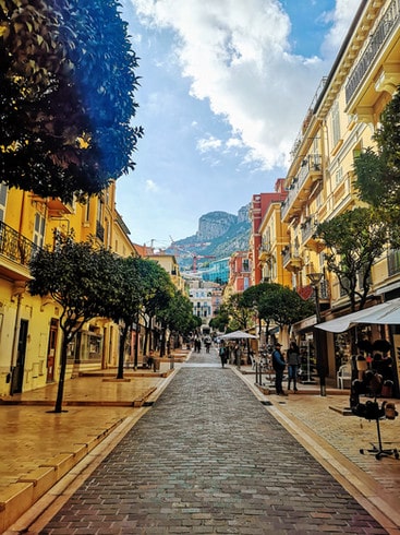 A tree lined street in Monaco's chic Port Quarter 