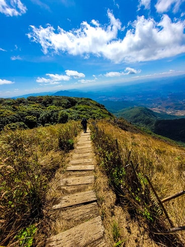 The Kew Mae Pan Nature trail cuts through long grass, following the ridge line of Doi Inthanon peak. Ahead and below are valley views of Doi Inthanon National Park in northern Thailand
