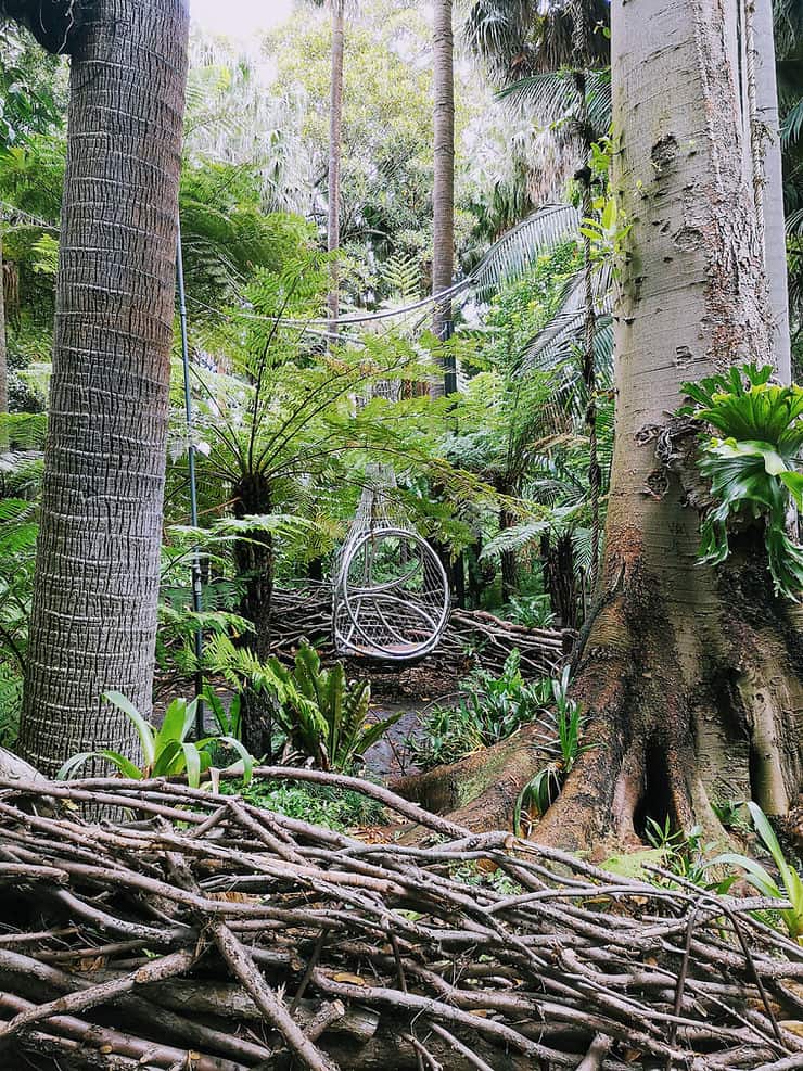 A large woven swing hangs from the trees in the middle of Melbourne's Botanical Gardens, surrounded by ferns and tall palm trees