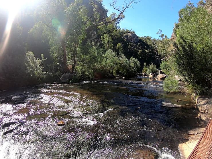 The water from the McKenzie falls flows into this wide, shallow stream, lined with thick trees and a narrow walking path on one side