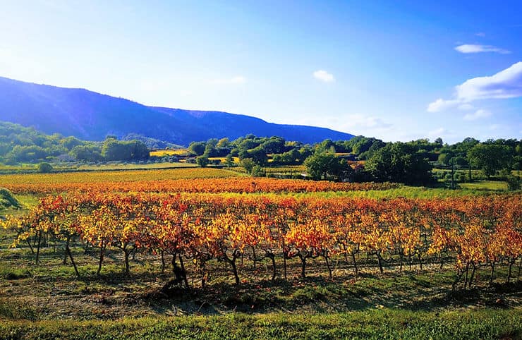 The picturesque countryside of The Luberon is a great day trip from Avignon