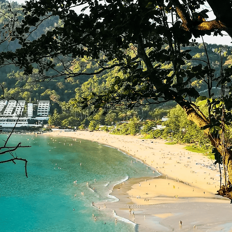 Soft golden sand of Nai Harn beach in Phuket, Thailand, surrounded by a thick forest of hillside trees