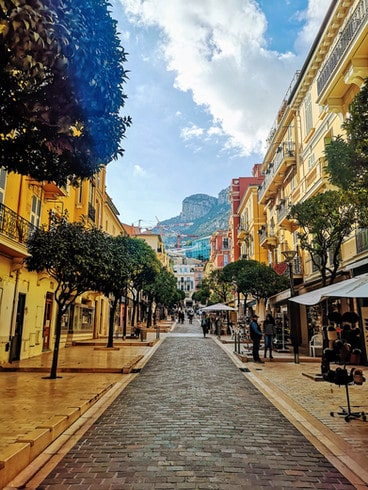 The tree lined streets of Monaco's chic Port Quarter
