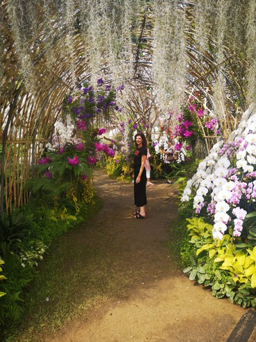 Walking through a shady archway, surrounded by pink and white flowers