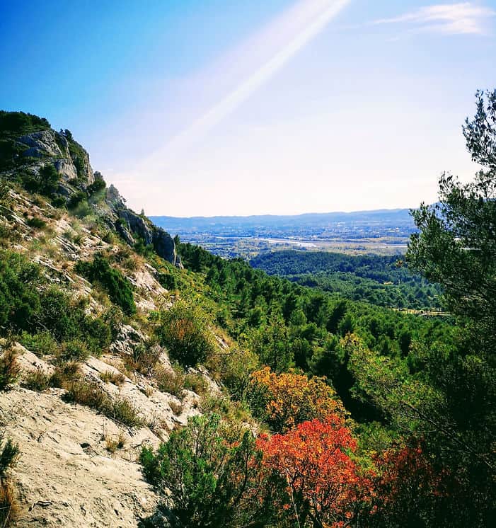 Sweeping views across the forests of the Luberon Valley
