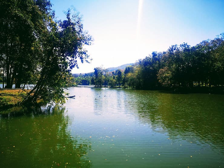 Angkaew reservoir is surrounded by trees and shady parkland