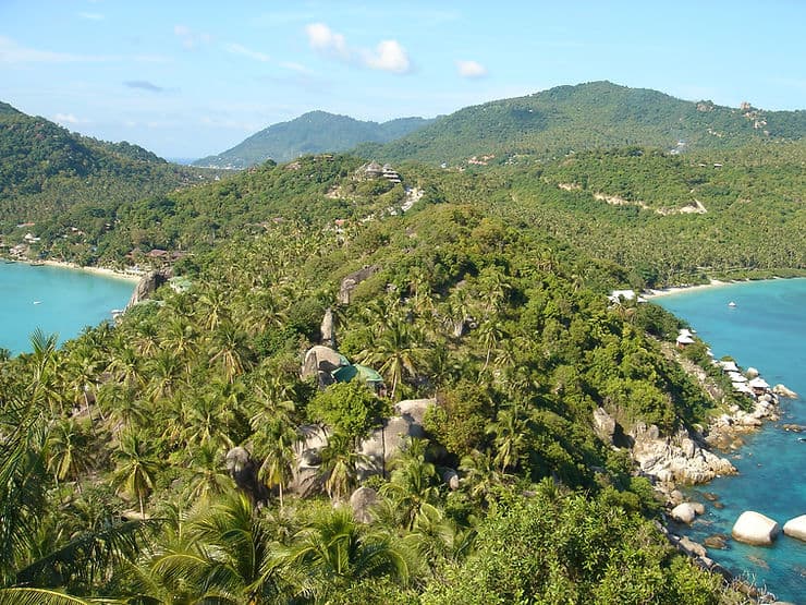 Koh Tao's palm-covered peninsula separates two crystal clear blue bays as seen from the John Suwan viewpoint.