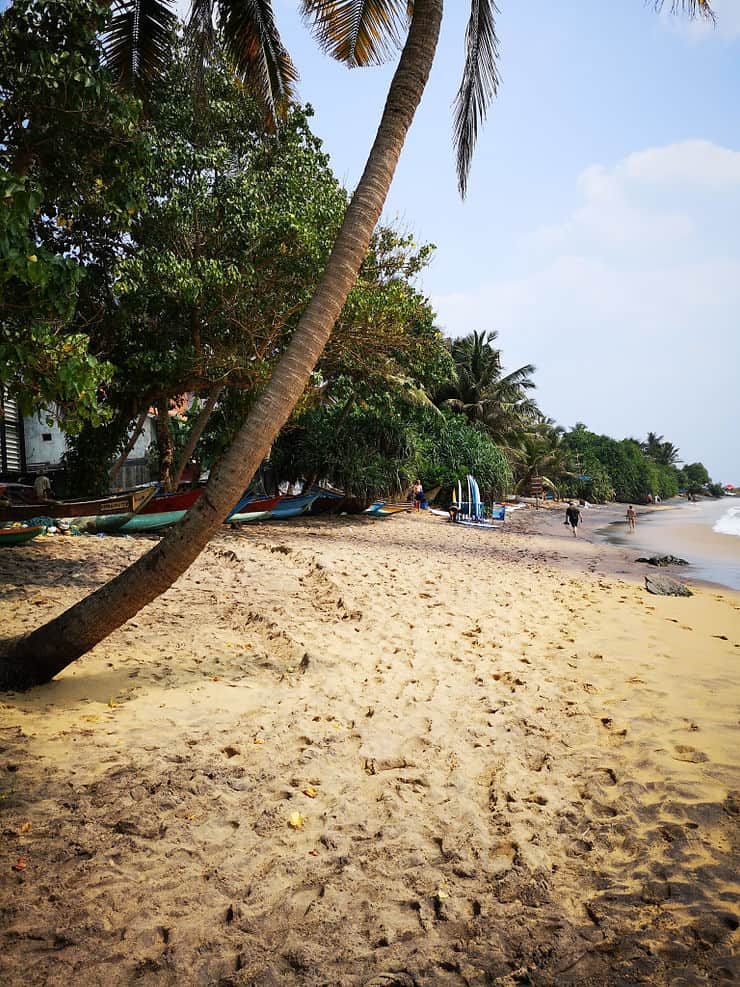 Gorgeous sandy beaches, Mirissa, Sri Lanka 