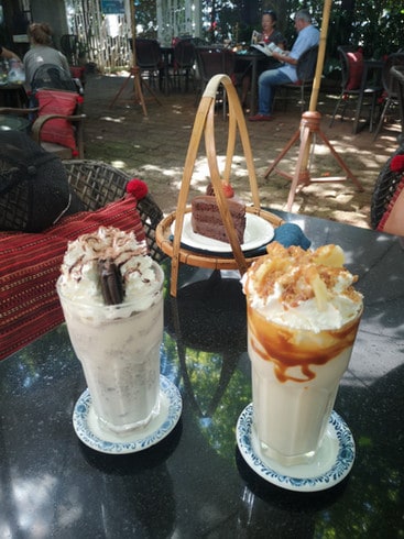 Two milkshakes and a chocolate cake sit on a table at Fern Forest cafe 