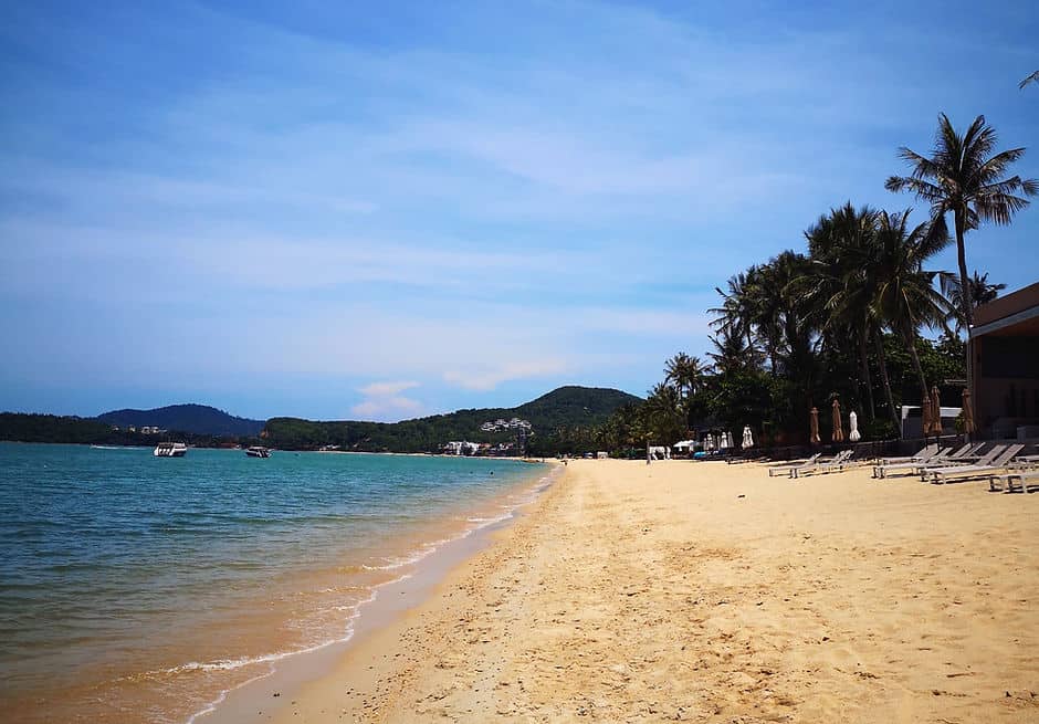 Palm trees and sun loungers line the edge of a sandy beach in Koh Samui, Thailand