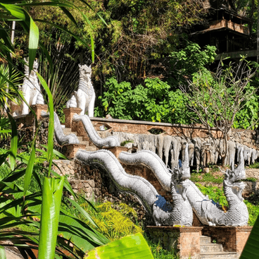 Stone steps adorned with dragon statues sit surrounded by jungle