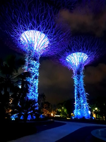 Supertree Grove at night in the Gardens by the Bay, Singapore