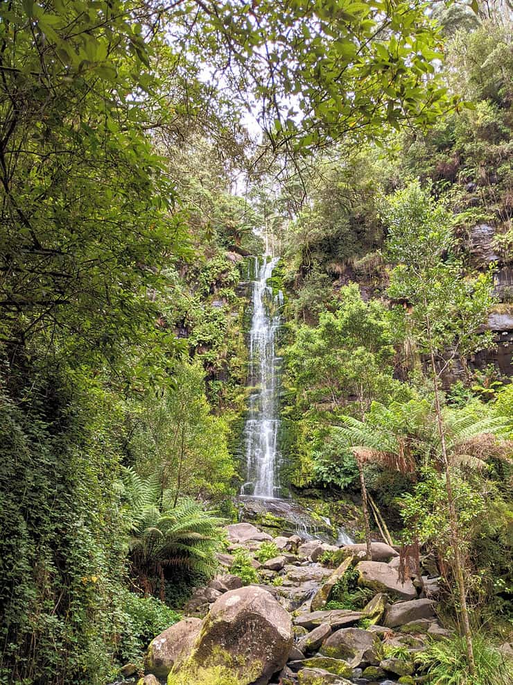 The Erskine falls are tucked away in a thick forest, surrounded by trees and rocky foilage on the ground. The 30m high falls are thin and trickle down the rocks gently