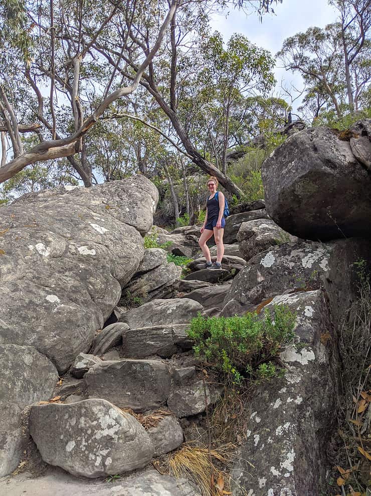 Almost at the top of the Pinnacle walk, large boulders sit either side of the path, which is little more than slightly smaller rocks you need to use as steps to scramble up. 