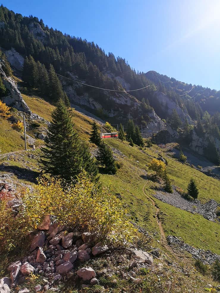 Schynige Platt cog train, Switzerland