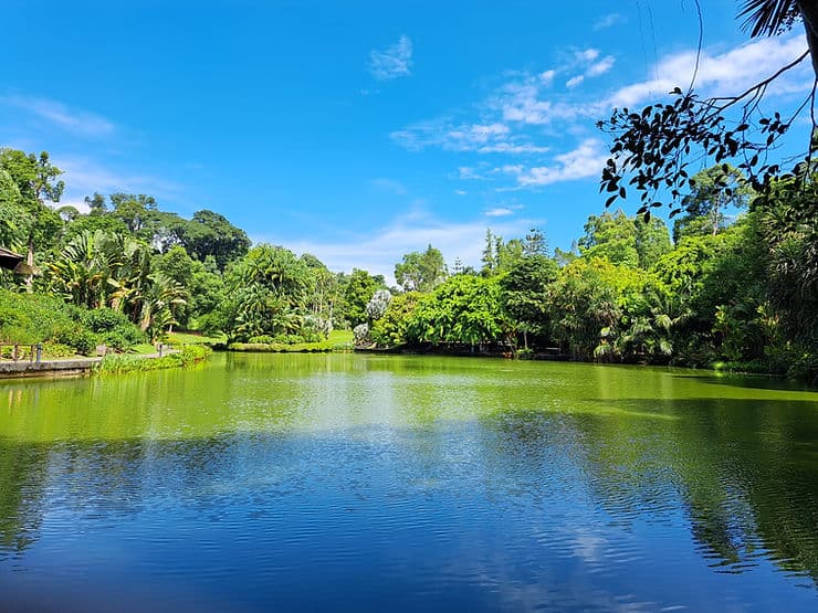 Singapore Botanic Gardens