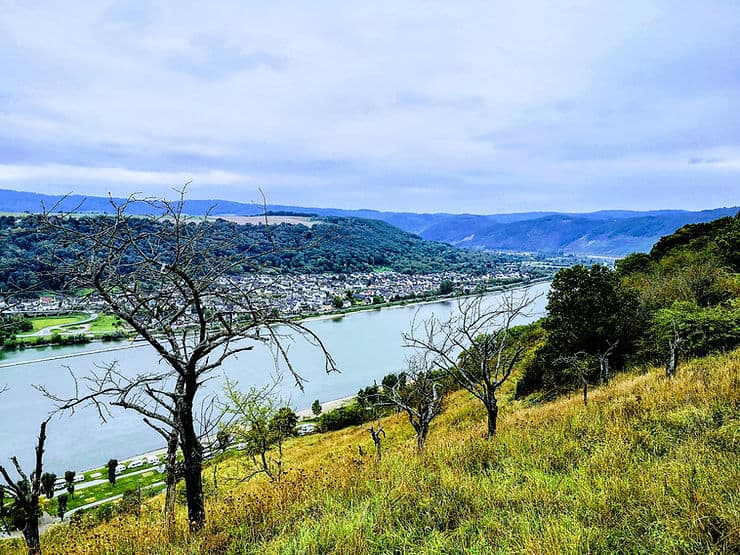 Views across the Rhine River and Rhine Valley, Germany