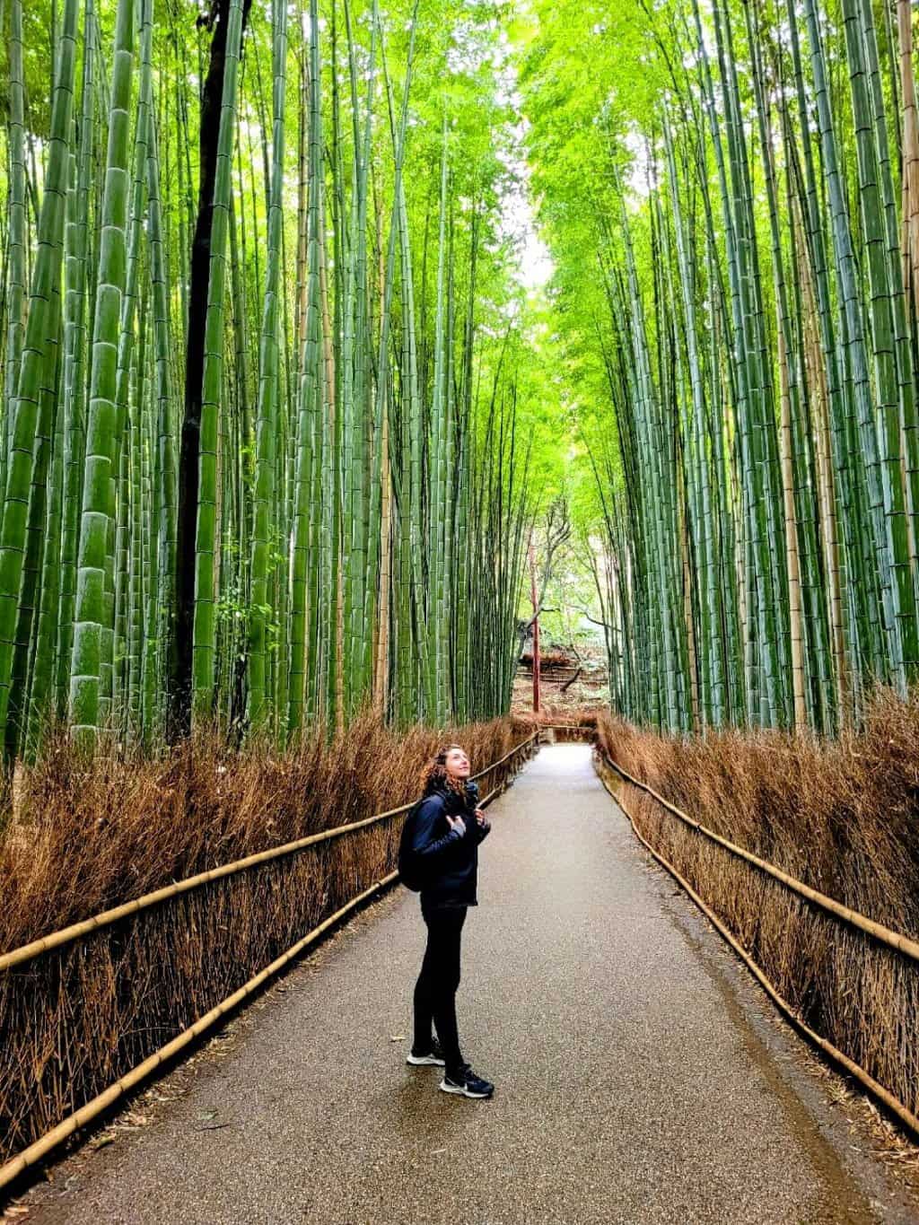 A Guide For Visiting The Arashiyama Bamboo Forest Kyoto 