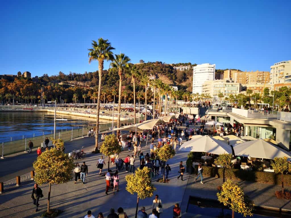Restaurants and palm trees line the pedestrianised walkway on the edge of Malaga's Port.