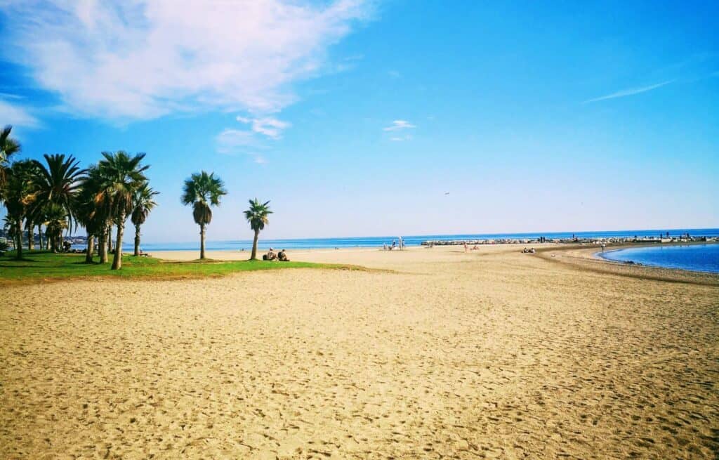 The golden sands of Malagueta Beach in Malaga city. Bright blue sky and palm trees.