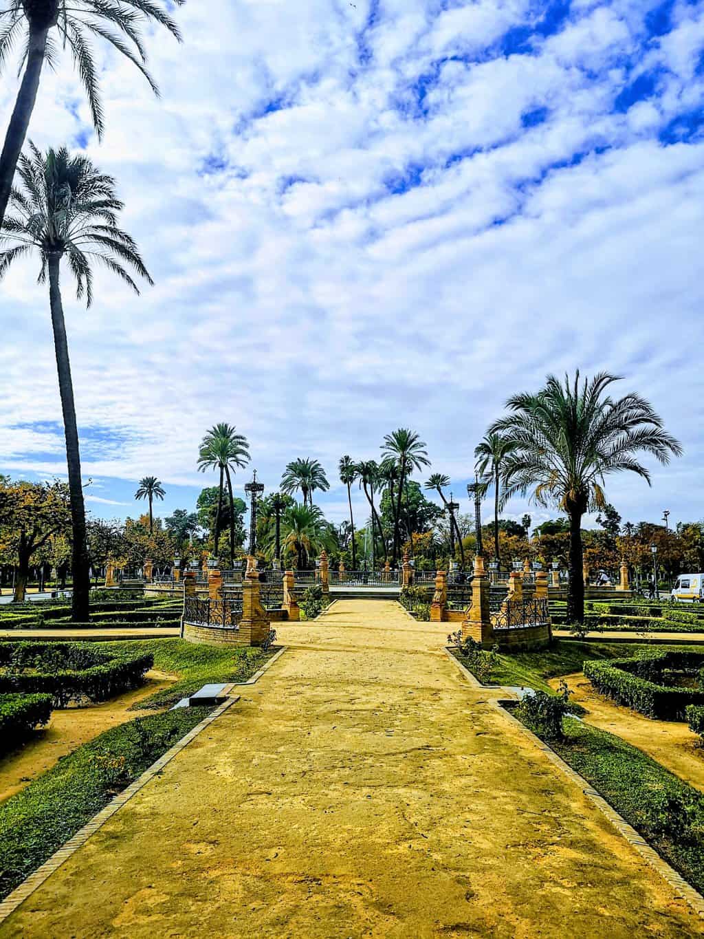 A wide sandy path is lined by thin, tall palm trees and landscaped gardens in Seville's Maria Luisa Park