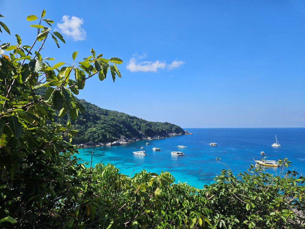 Taken from a viewpoint, looking down at the blue bay, surrounded by tree covered mounts.